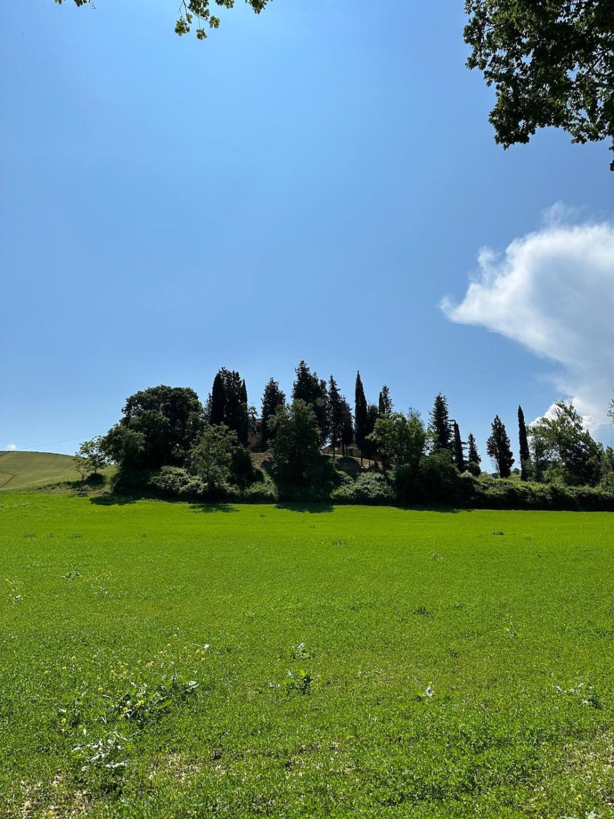 Villa Il Giardinello Montalcino Bagian luar foto