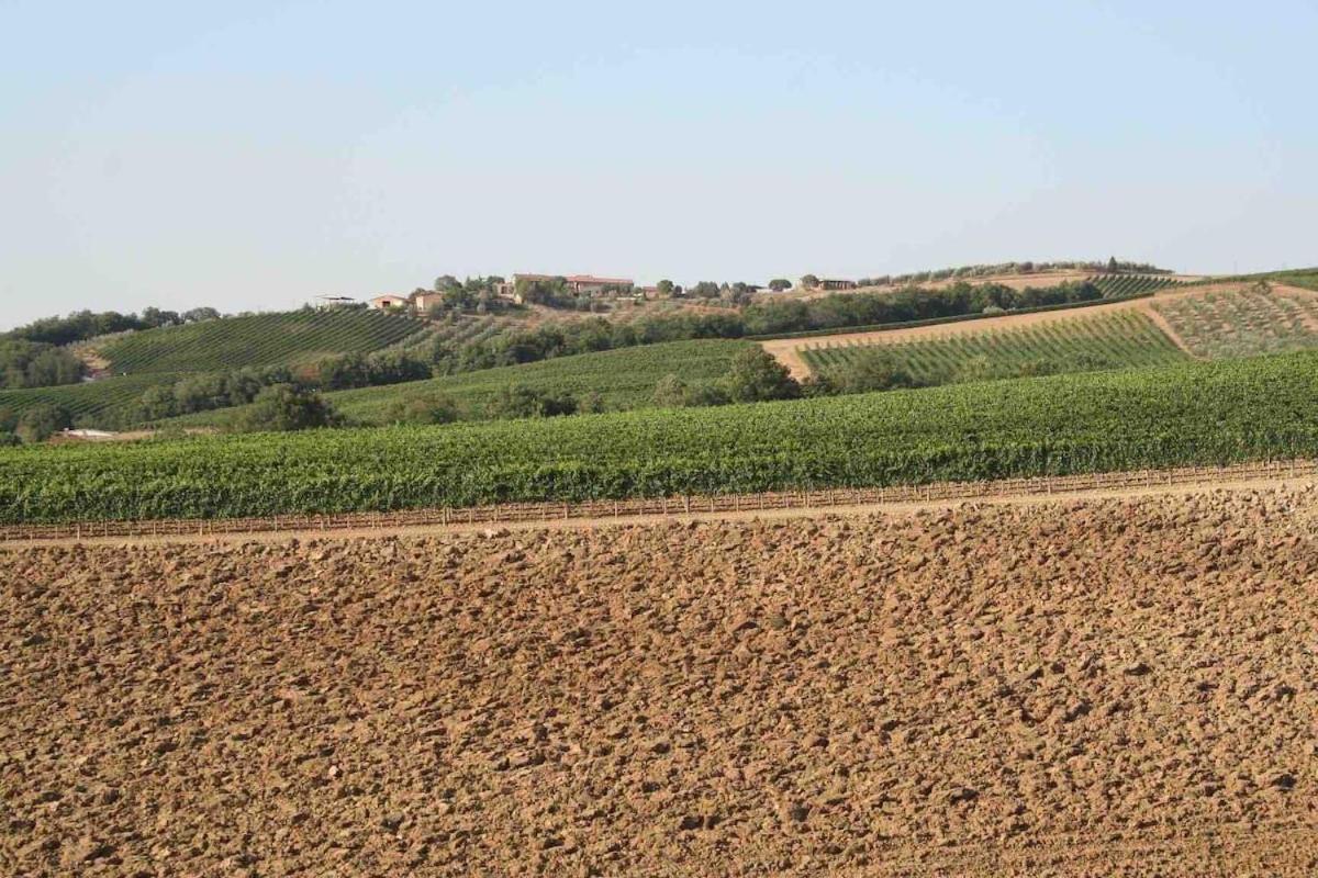 Villa Il Giardinello Montalcino Bagian luar foto