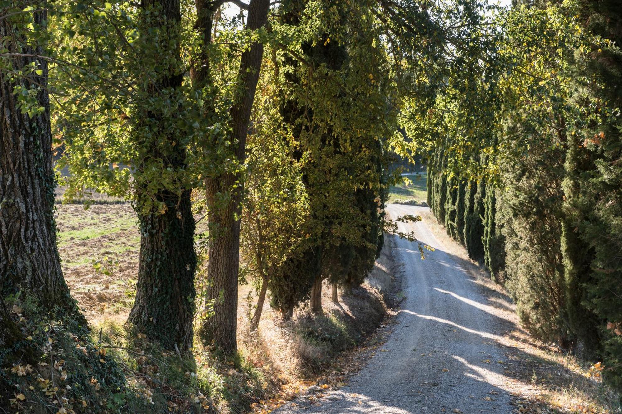 Villa Il Giardinello Montalcino Bagian luar foto